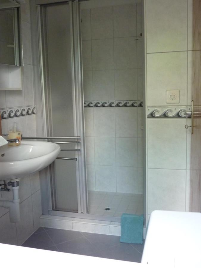 Casa Petra 1 1/2 Zi, Orgnana 83 Apartment Gambarogno Ngoại thất bức ảnh