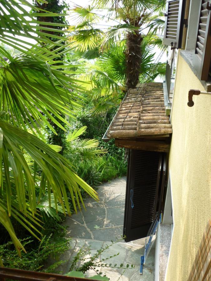 Casa Petra 1 1/2 Zi, Orgnana 83 Apartment Gambarogno Ngoại thất bức ảnh